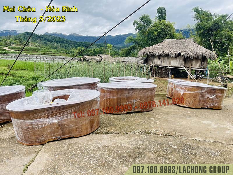 bán bồn tắm gỗ hòa bình