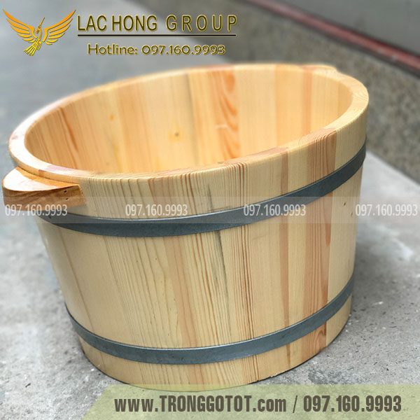 https://thunggotot.com/image/catalog/CHAU-GO-NGAM-CHAN/CHAU-GO-THONG/CHAU-GO-THONG/chau-ngam-chan-go-thong-nhap-khau-1.jpg